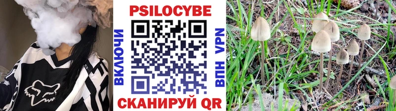блэк спрут   Малаховка  Галлюциногенные грибы Psilocybe  наркошоп 